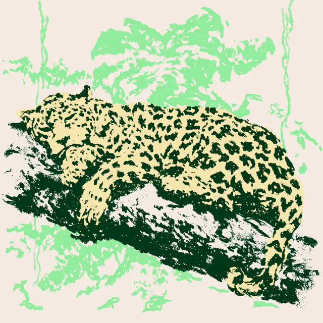 Ilustração de uma onça-pintada